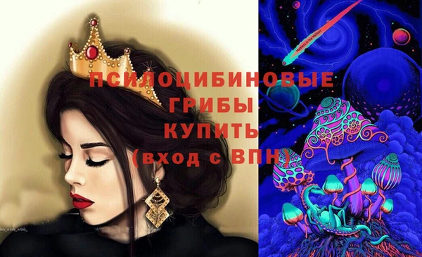прущие грибы Армянск