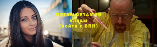 прущие грибы Армянск